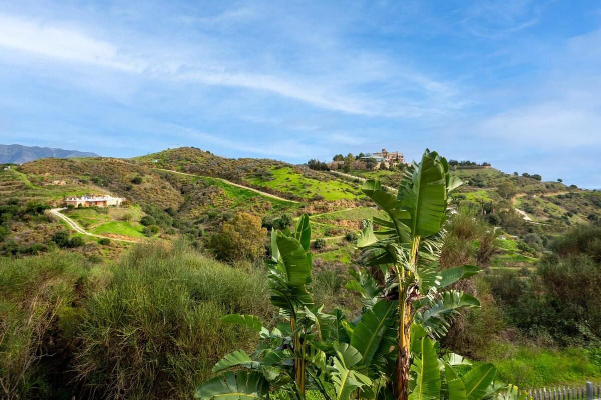 Apartamento A Dream Destination For Relaxed Vacationing MIJAS COSTA Exterior foto